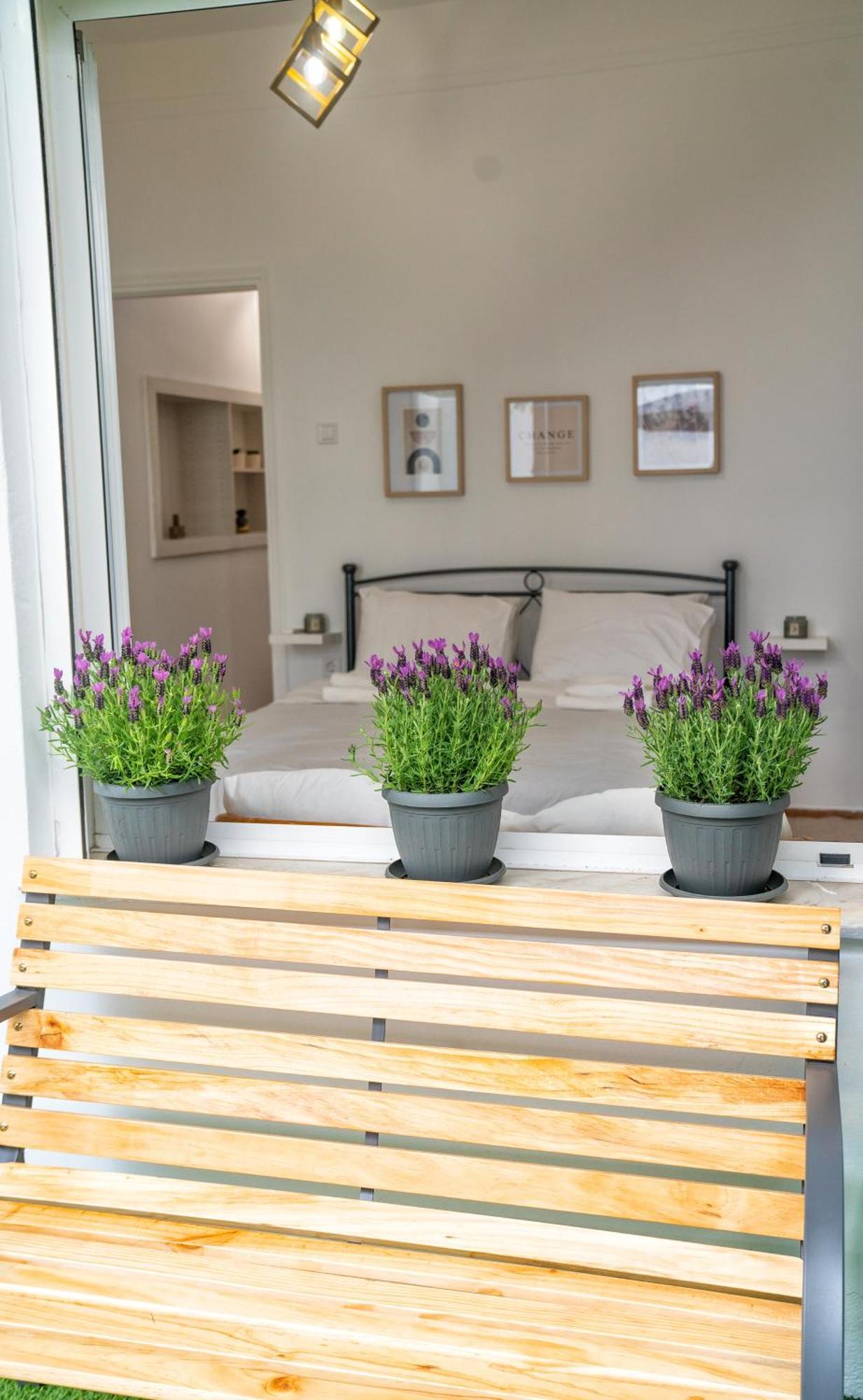 Lux Garden Apartment Near Acropolis In The Heart Of アテネ エクステリア 写真