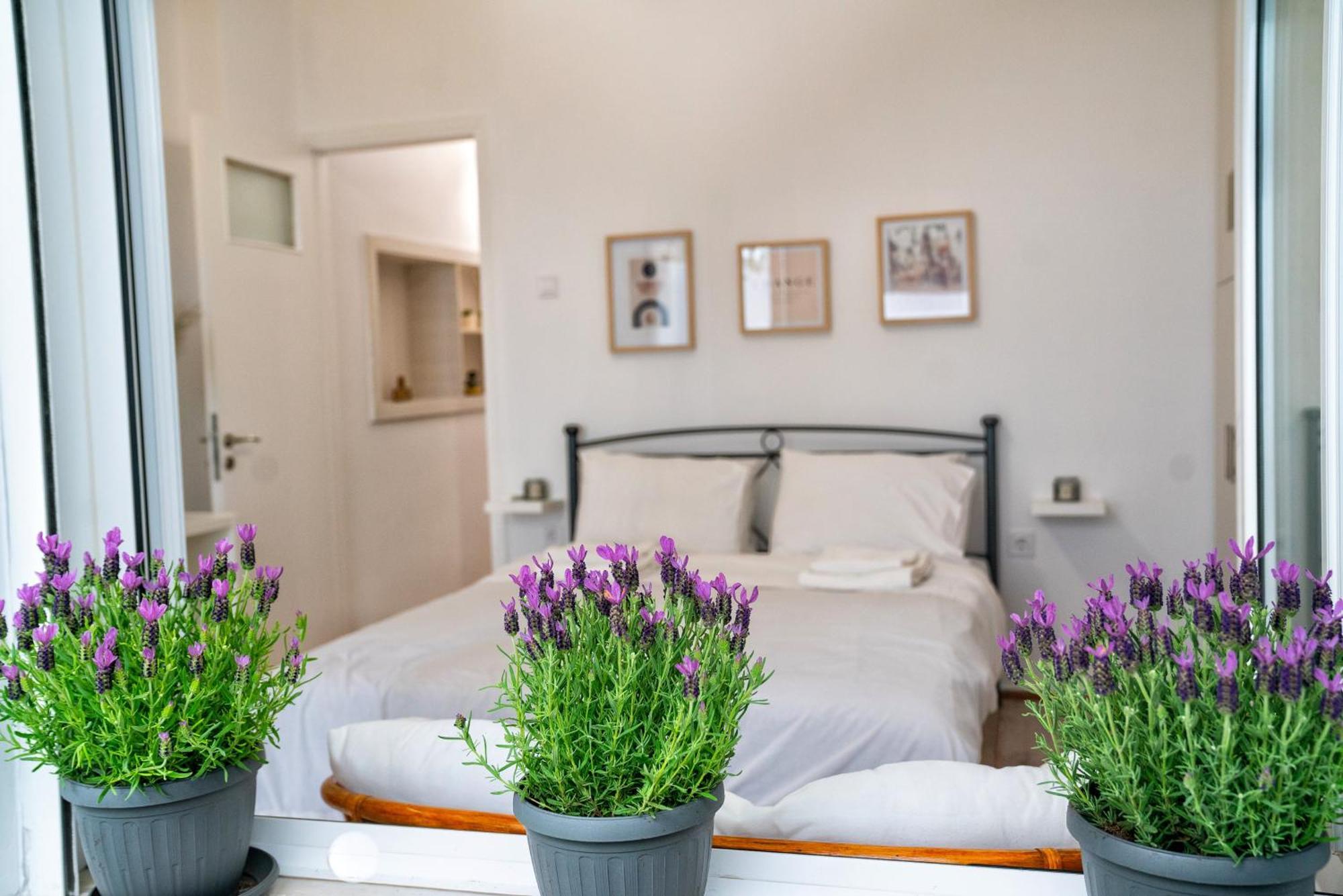 Lux Garden Apartment Near Acropolis In The Heart Of アテネ エクステリア 写真